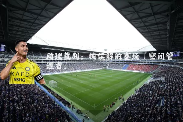 助理裁判：被误解的赛场「空间管理者」